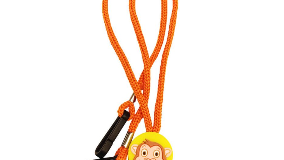 IMG_20221018_114559-1