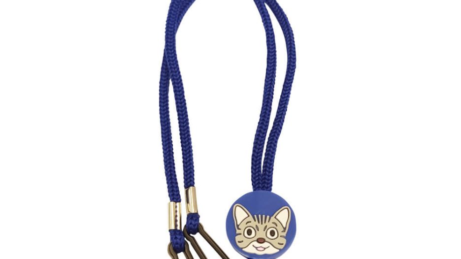 IMG_20221018_115048-1